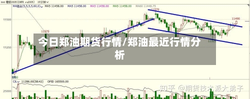 今日郑油期货行情/郑油最近行情分析