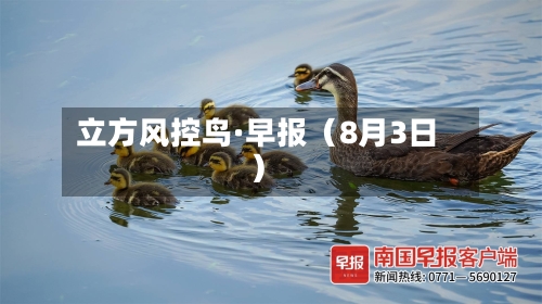 立方风控鸟·早报(8月3日)