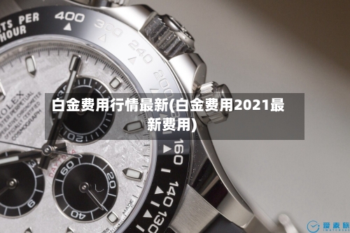 白金费用行情最新(白金费用2021最新费用)