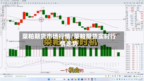 菜粕期货市场行情/菜粕期货实时行情走势
