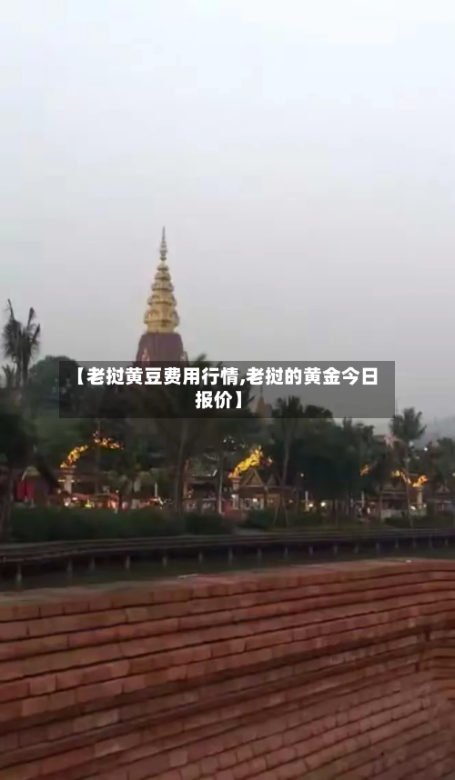 【老挝黄豆费用行情,老挝的黄金今日报价】-第2张图片