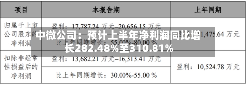 中微公司:预计上半年净利润同比增长282.48%至310.81%-第2张图片