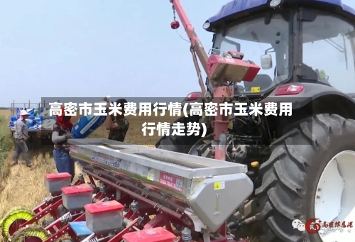 高密市玉米费用行情(高密市玉米费用行情走势)-第3张图片