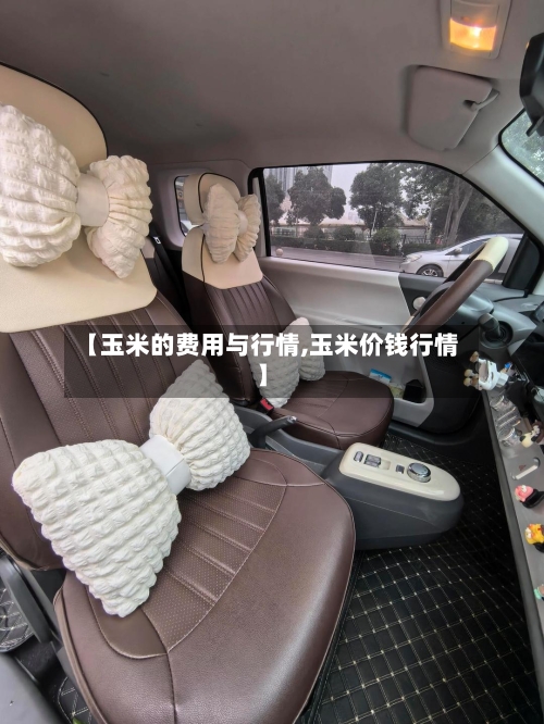 【玉米的费用与行情,玉米价钱行情】