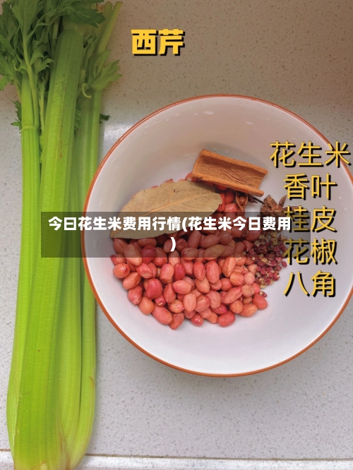 今曰花生米费用行情(花生米今日费用)-第3张图片