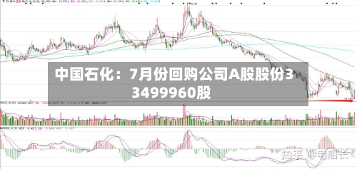 中国石化：7月份回购公司A股股份33499960股