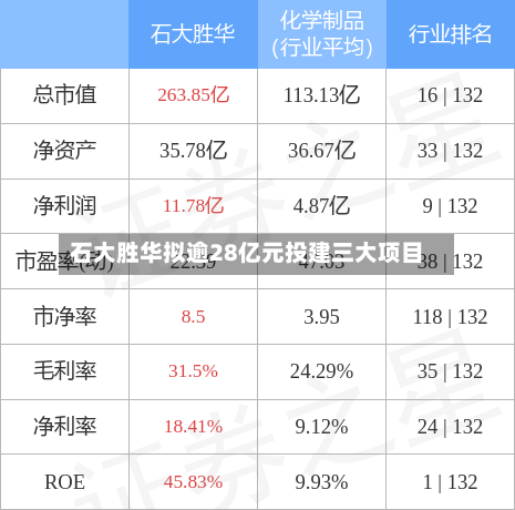 石大胜华拟逾28亿元投建三大项目-第3张图片