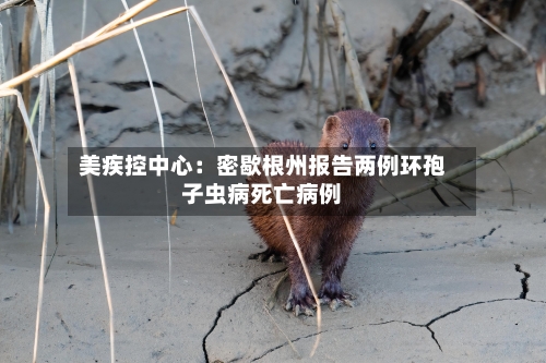 美疾控中心:密歇根州报告两例环孢子虫病死亡病例-第2张图片