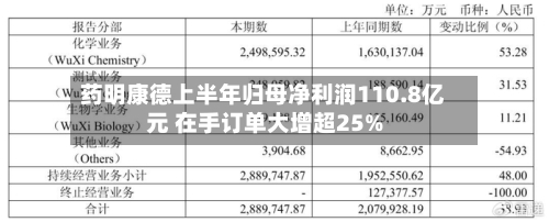 药明康德上半年归母净利润110.8亿元 在手订单大增超25%-第2张图片