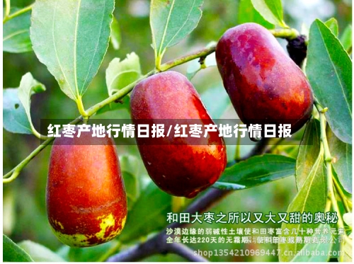 红枣产地行情日报/红枣产地行情日报