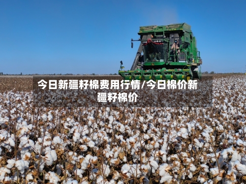 今日新疆籽棉费用行情/今日棉价新疆籽棉价