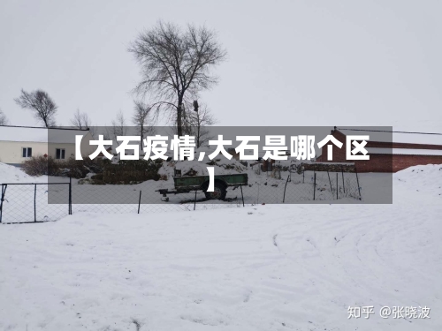 【大石疫情,大石是哪个区】