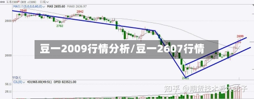 豆一2009行情分析/豆一2607行情-第2张图片