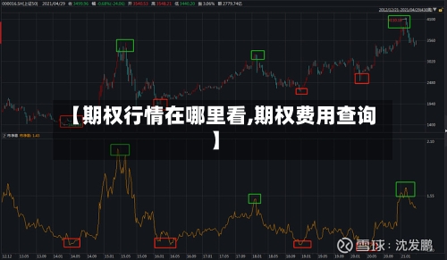 【期权行情在哪里看,期权费用查询】-第2张图片