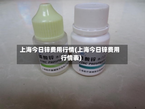 上海今日锌费用行情(上海今日锌费用行情表)