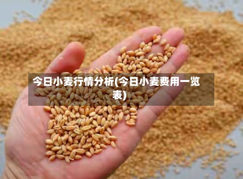 今日小麦行情分析(今日小麦费用一览表)