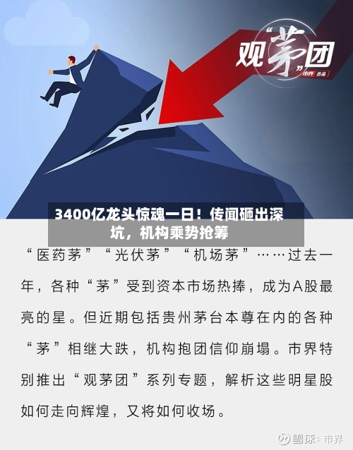 3400亿龙头惊魂一日！传闻砸出深坑	，机构乘势抢筹-第2张图片