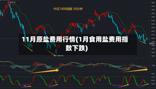 11月原盐费用行情(1月食用盐费用指数下跌)