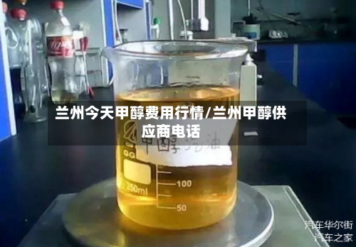 兰州今天甲醇费用行情/兰州甲醇供应商电话