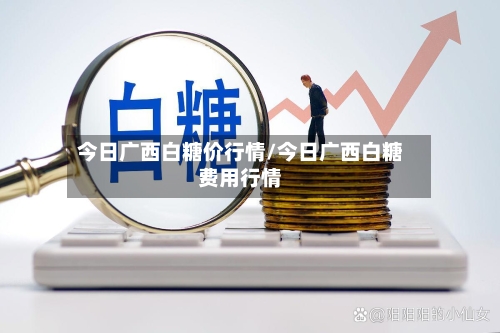今日广西白糖价行情/今日广西白糖费用行情