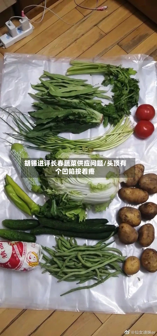 胡锡进评长春蔬菜供应问题/头顶有个凹陷按着疼-第2张图片