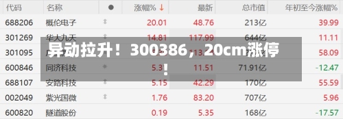 异动拉升！300386，20cm涨停！-第2张图片