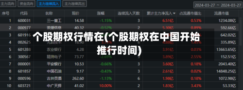 个股期权行情在(个股期权在中国开始推行时间)