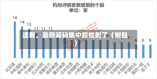 速看，最新筹码集中股找到了（附股）