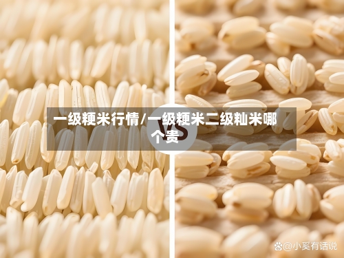 一级粳米行情/一级粳米二级籼米哪个贵