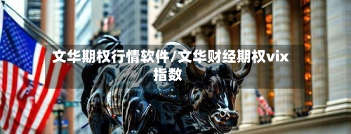 文华期权行情软件/文华财经期权vix指数-第3张图片