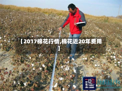 【2017棉花行情,棉花近20年费用】-第2张图片