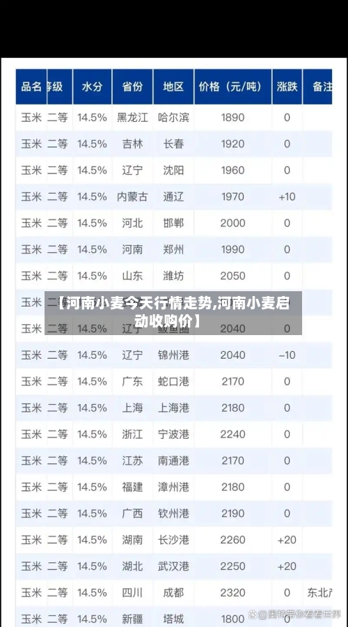 【河南小麦今天行情走势,河南小麦启动收购价】